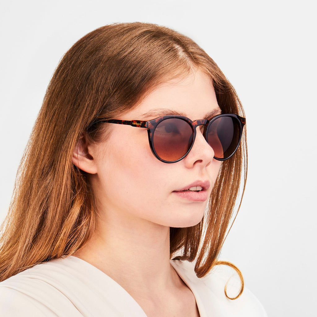 Brown Sunglasses Alesia from Cacharel business gifts in HK & China